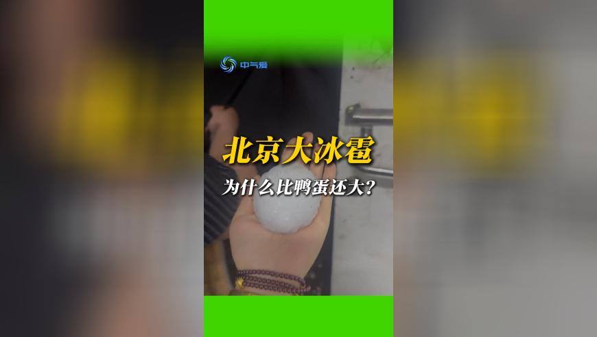 王凯有新身份了,2025新奥历史开奖记录澳门肖王管家婆,经典解释落实_入门版V4.84